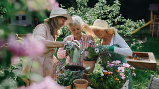 What is a community of care and how does it impact a senior's quality of life?
