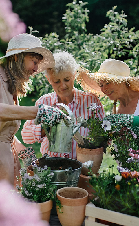 Community Garden