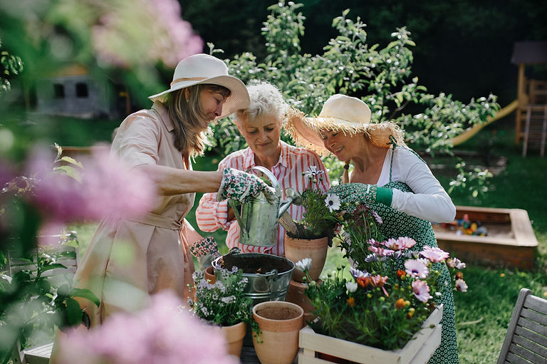 Community Garden