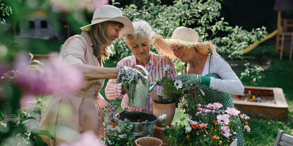 Visite des jardins historiques d’Arc-et-Senans avec découverte des jardins de la Saline Royale et paysages remarquables du Jura