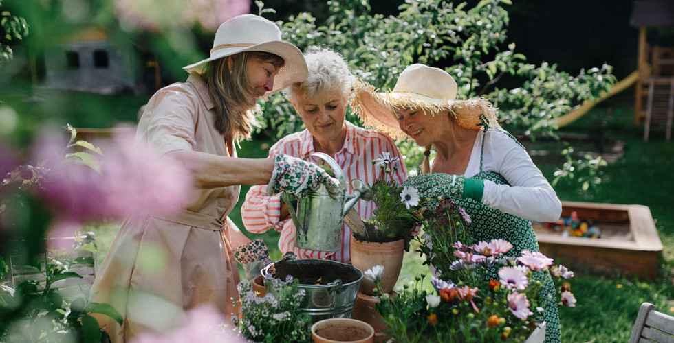 séniors activité ehpad