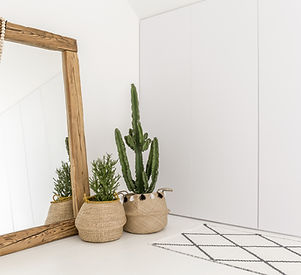 Mirror and Indoor Plants