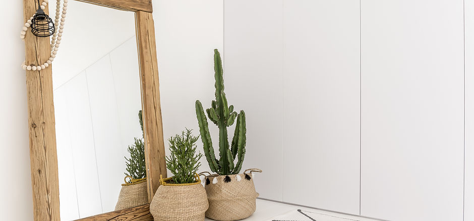 Mirror and Indoor Plants