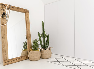 Miroir et plantes d'intérieur