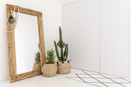 Mirror and Indoor Plants