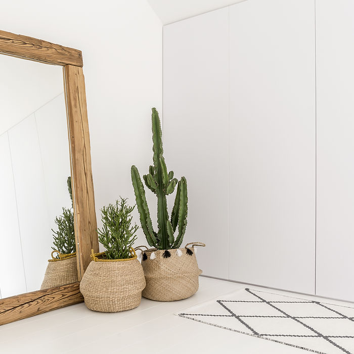 Mirror and Indoor Plants