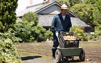 Man with Potatoes
