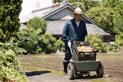 Man with Potatoes