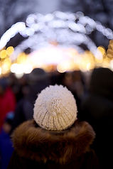 Festive Lights