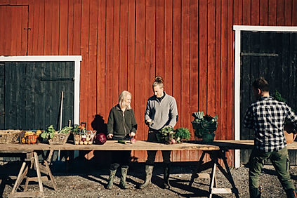 Agriculteurs vendant des légumes