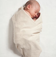 Swaddled Newborn Baby