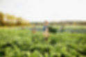 Ferme Kale