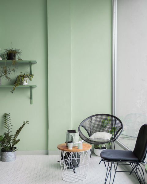 green painted room, green paint Green Wall