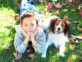 Η επίδραση της επαφής με τα ζώα σε παιδιά με αυτισμό