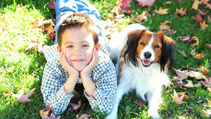 How to Talk to Kids About the Death of a Pet: Age-Appropriate Strategies for Grieving Families