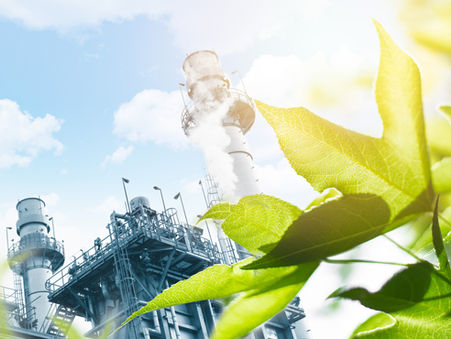 One of the largest global food industry leaders chooses Adsotech to reduce operational costs