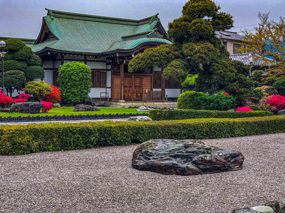 Front Lawn