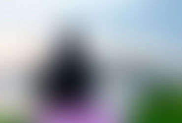 Brasileiros no exterior: para que serve o Apostilamento de Haya?