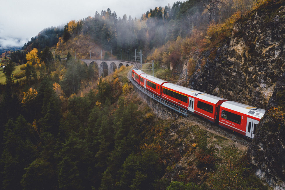 Train driving through nature