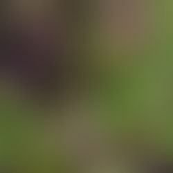 Understanding MTHFR Gene Mutations: Nutrition, Supplements, and Medications