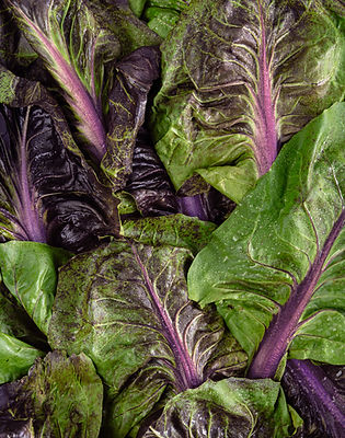Fresh Leafy Greens