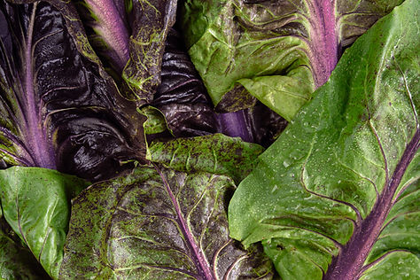 Washed Lettuce