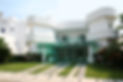 Large White House