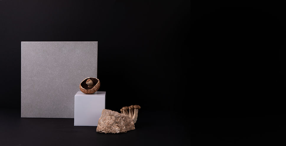Psilocybin Therapy for Depression: A New Frontier in Mental Health Treatment