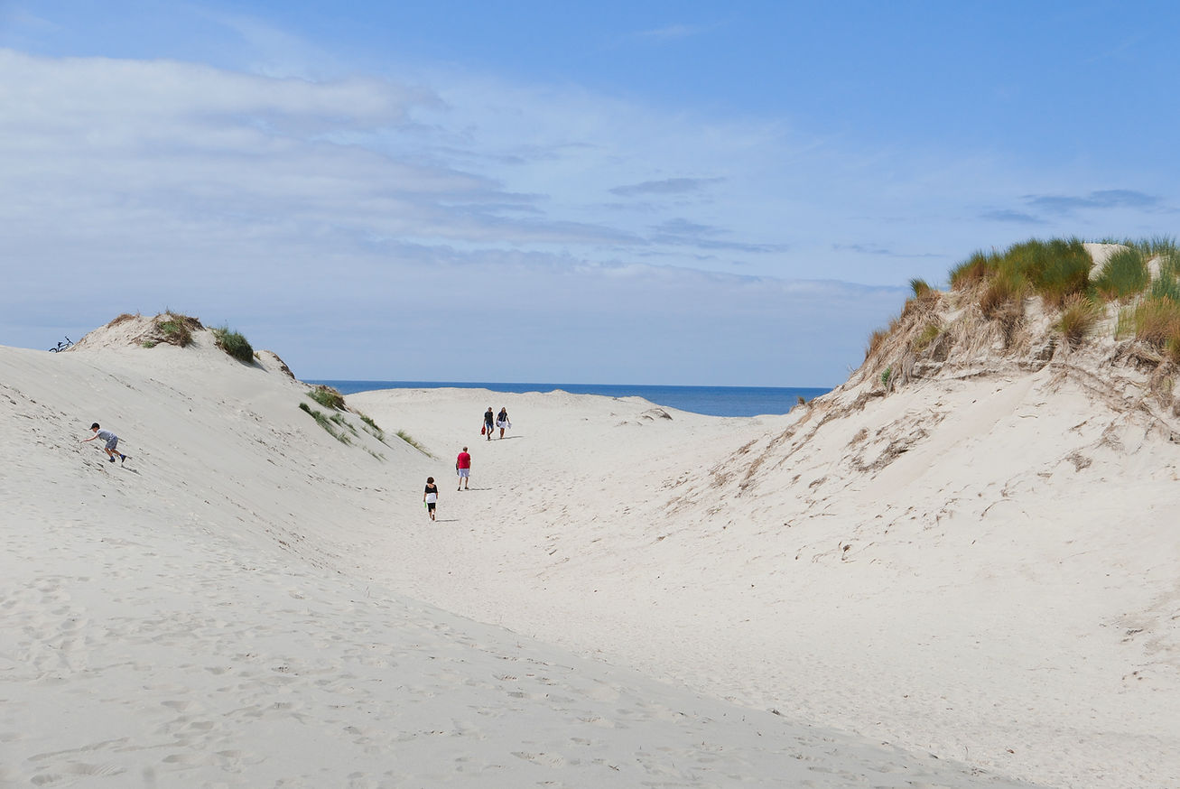 Wandelaars in duinen