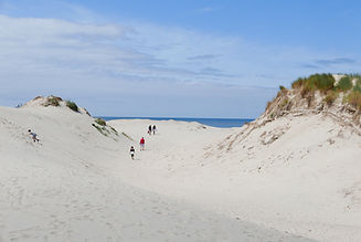 Market Conditions in the LBI Real Estate Market