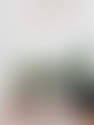 🌿 Simple Ways to Make Your Home Feel More Wellness‑Friendly