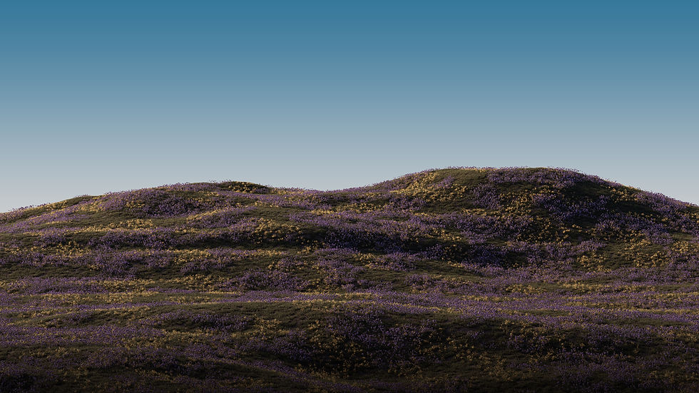 Purple Flowered Hills