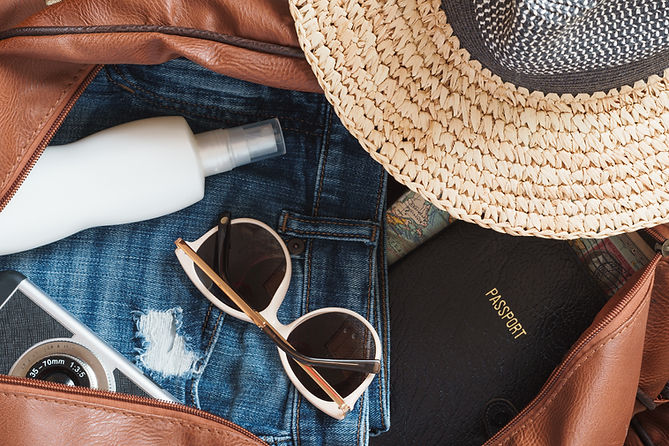 Travel Bag