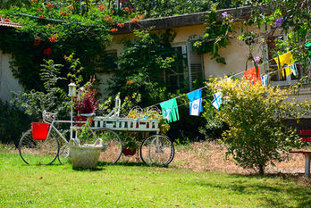 Décoration de jardin avec vélo orné de plantes fleuries et mur végétalisé