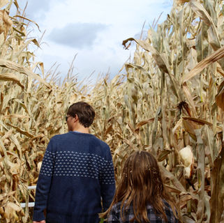 Best Corn Mazes & Hayrides in New Jersey for Fall 2025