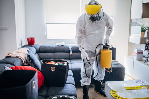 One man, man in protective suit disinfecting living room at home alone