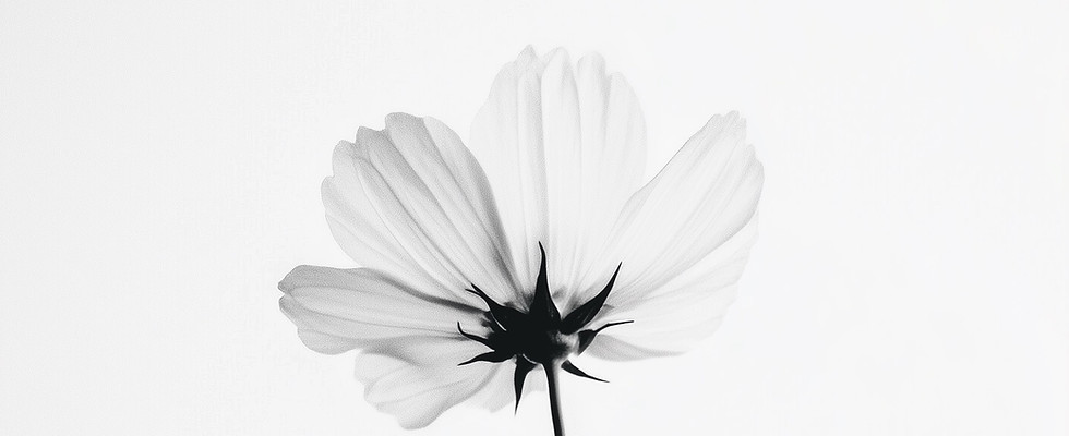 Flor blanca única