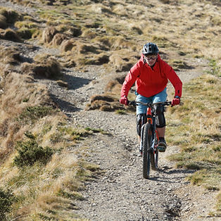 Image by Braxton Apana