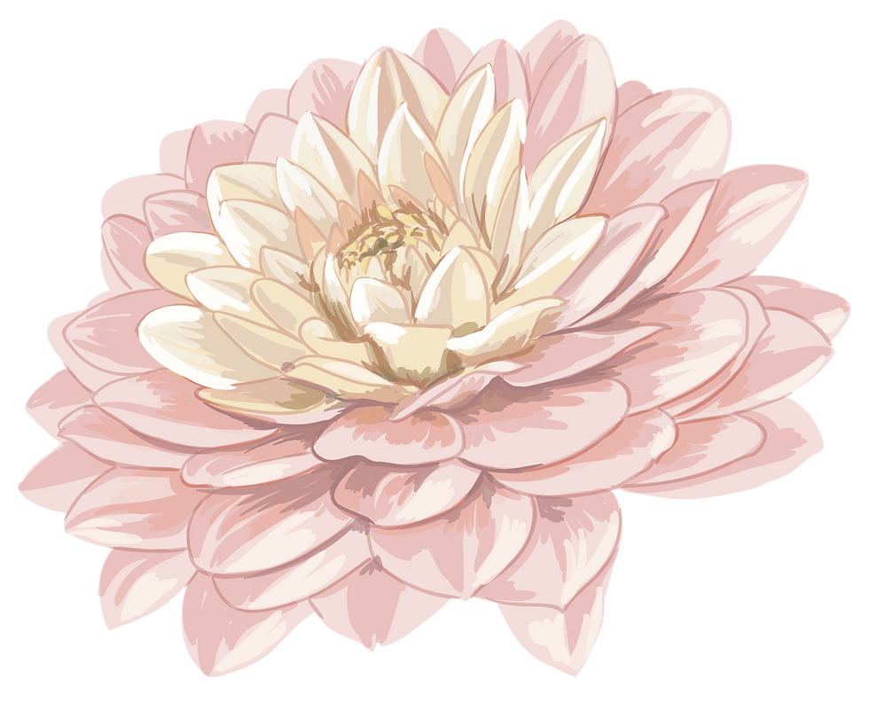 Illustration de lotus rose