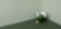 PapelerÃa con tema verde