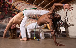 arts martiaux