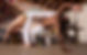 Capoeira