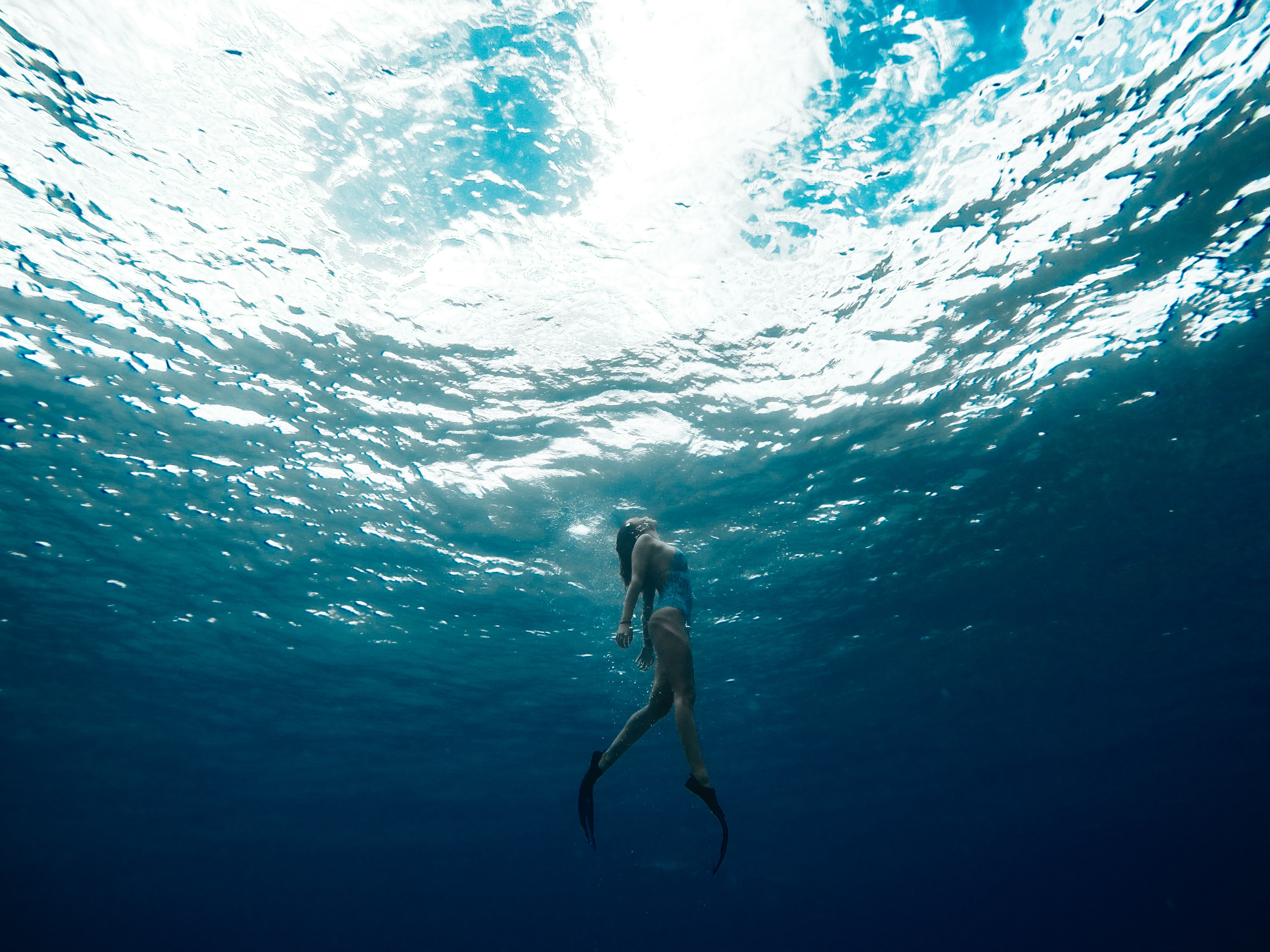 Underwater Diver Silhouette