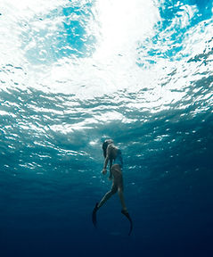 Underwater Diving Scene