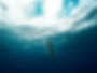 Underwater Diving Scene