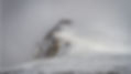 Snowy Mountain