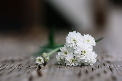 Beautiful bouquet of white flowers lying on a wooden board