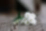 Beautiful bouquet of white flowers lying on a wooden board