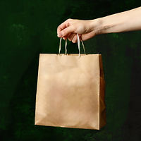 Hand Holding Paper Bag