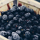 Blackberries